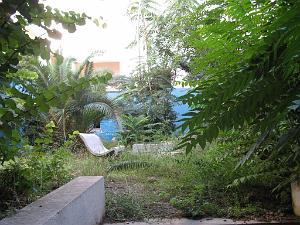 ANNEXE JARDIN VU DU COULOIR